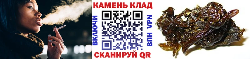ГАШИШ Изолятор  Сельцо 