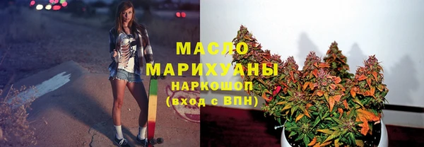 Альфа ПВП Инта