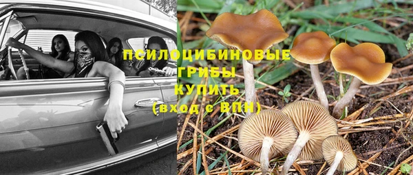 Альфа ПВП Инта