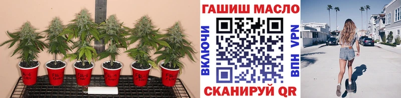 Дистиллят ТГК вейп  мориарти формула  Сельцо 