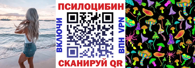 Псилоцибиновые грибы Psilocybe  цена наркотик  Сельцо 