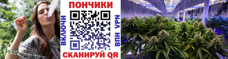 Марихуана план  сколько стоит  Сельцо 